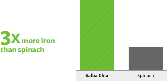 Iron-557x271-chart