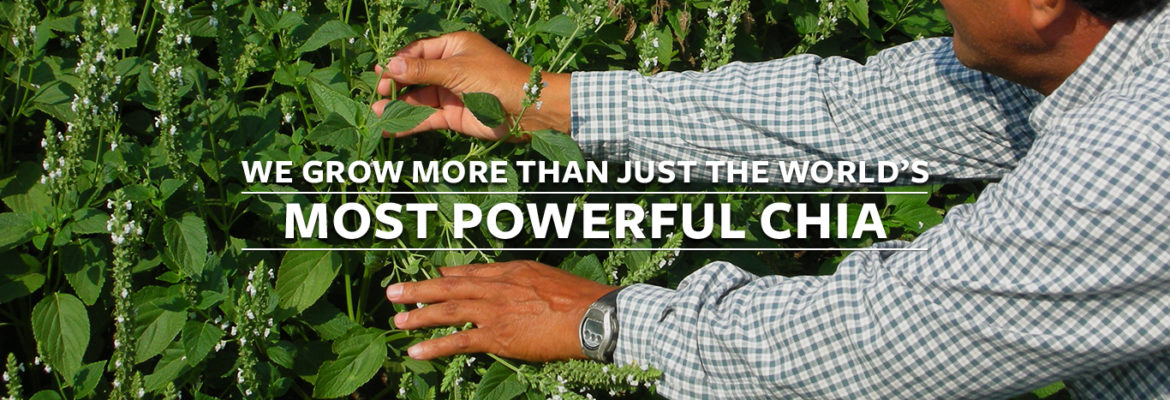 We grow more than just the world's most powerful chia